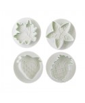 Emporte-pièce poussoir fruits assortis set/4